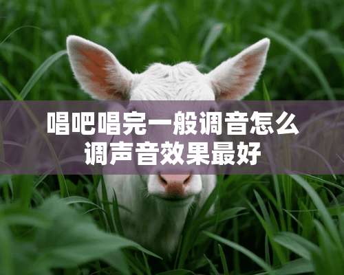 唱吧唱完一般调音怎么调声音效果最好