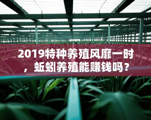 2019特种养殖风靡一时，蚯蚓养殖能赚钱吗？