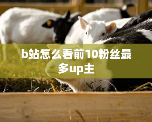 b站怎么看前10粉丝最多up主