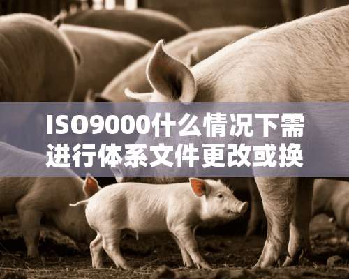 ISO9000什么情况下需进行体系文件更改或换版