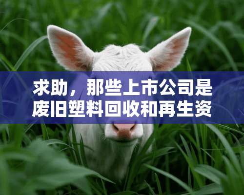 求助，那些上市公司是废旧塑料回收和再生资源开发利用类型的？在线等，谢谢