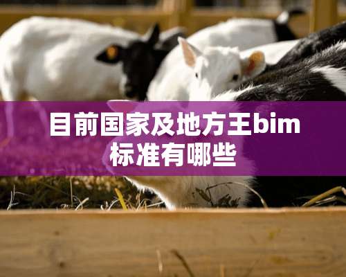 目前国家及地方王bim标准有哪些