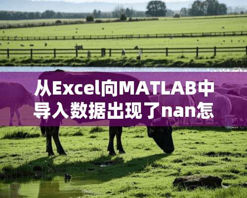 从Excel向MATLAB中导入数据出现了nan怎么处理