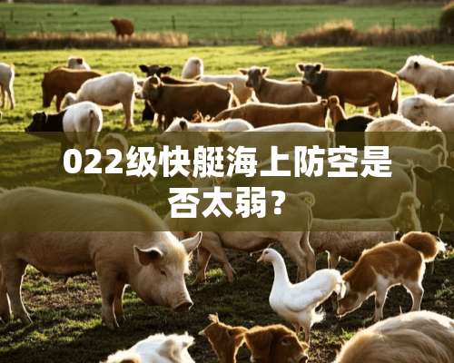 022级快艇海上防空是否太弱？