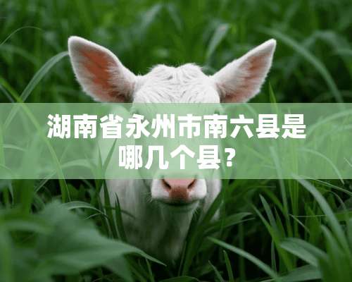 湖南省永州市南六县是哪几个县？