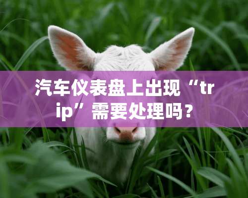 汽车仪表盘上出现“trip”需要处理吗？