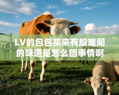 LV的包包买来有股难闻的味道是怎么回事情啊？