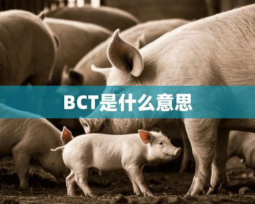 BCT是什么意思