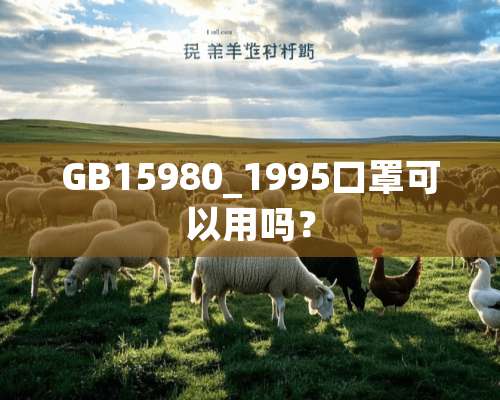 GB15980_1995口罩可以用吗？