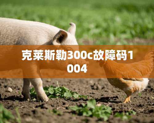 克莱斯勒300c故障码1004