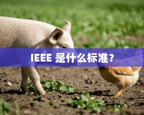 IEEE 是什么标准？