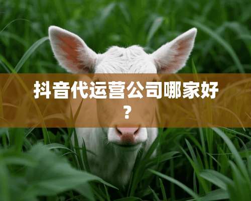 抖音代运营公司哪家好？