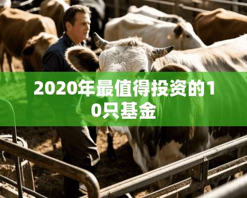 2020年最值得投资的10只基金