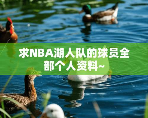 求NBA湖人队的球员全部个人资料~