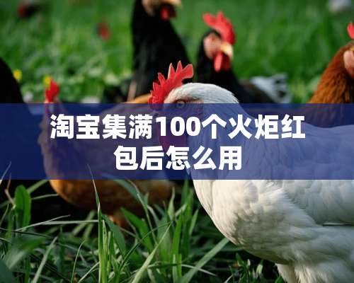 淘宝集满100个火炬红包后怎么用