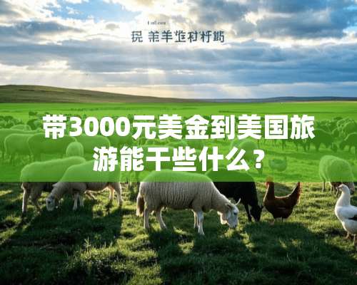 带3000元美金到美国旅游能干些什么？