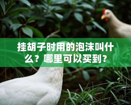 挂胡子时用的泡沫叫什么？哪里可以买到？