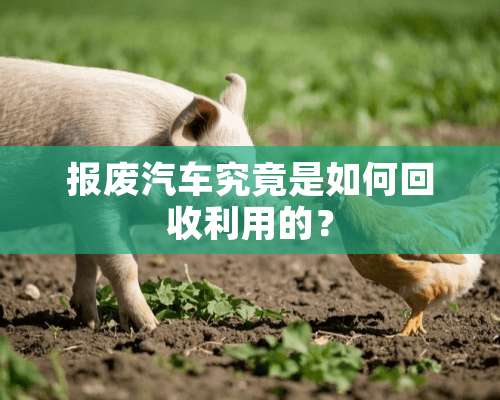 报废汽车究竟是如何回收利用的？