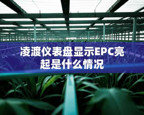 凌渡仪表盘显示EPC亮起是什么情况