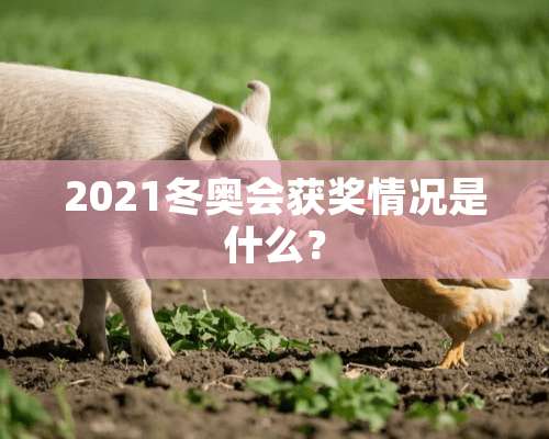 2021冬奥会获奖情况是什么？