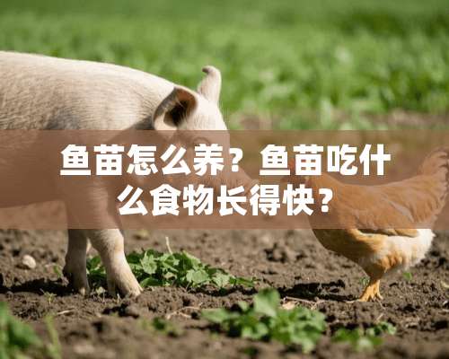 鱼苗怎么养？鱼苗吃什么食物长得快？