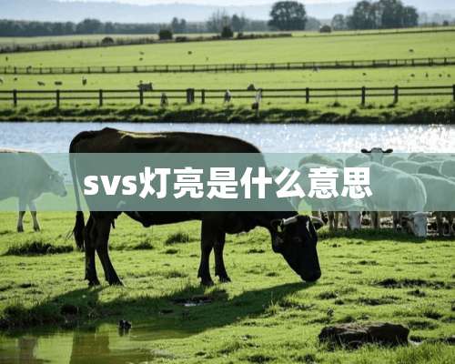 svs灯亮是什么意思