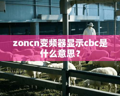 zoncn变频器显示cbc是什么意思？