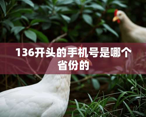 136开头的手机号是哪个省份的