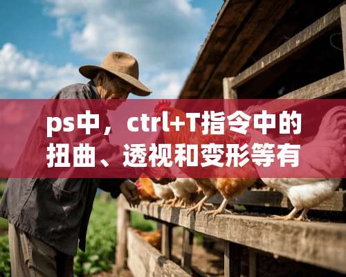 ps中，ctrl+T指令中的扭曲、**和变形等有什么不同，各自该怎么用