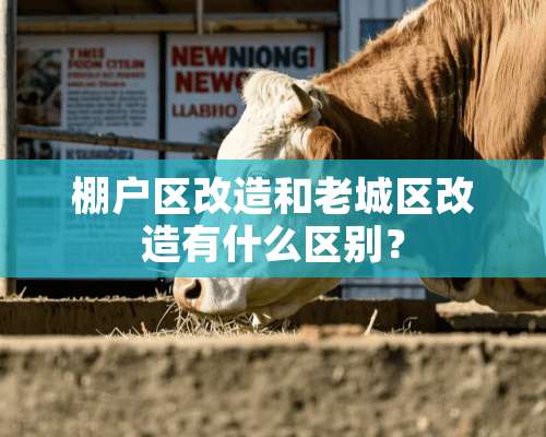 棚户区改造和老城区改造有什么区别？