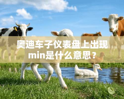 奥迪车子仪表盘上出现min是什么意思？