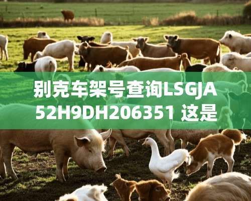 别克车架号查询LSGJA52H9DH206351 这是别克什么车