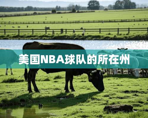 美国NBA球队的所在州