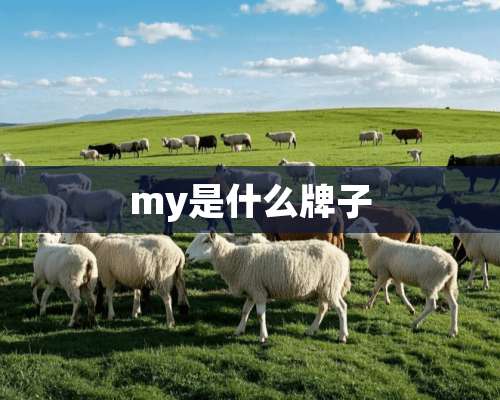 my是什么牌子