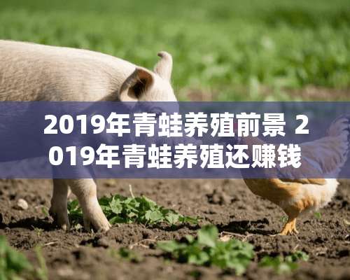 2019年青蛙养殖前景 2019年青蛙养殖还赚钱吗？