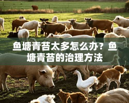 鱼塘青苔太多怎么办？鱼塘青苔的治理方法