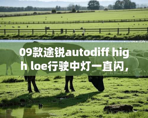 09款途锐autodiff high loe行驶中灯一直闪，是什么问题呢？