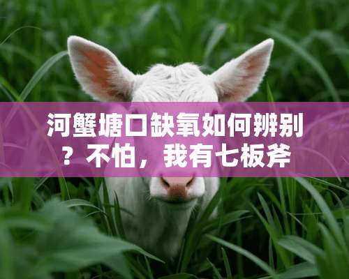 河蟹塘口缺氧如何辨别？不怕，我有七板斧