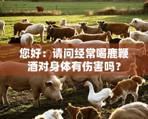 您好：请问经常喝鹿鞭酒对身体有伤害吗？