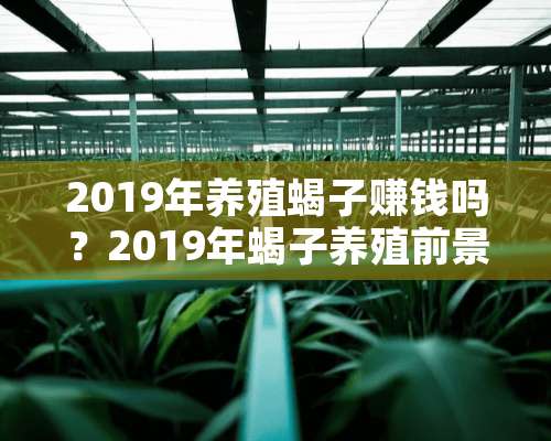 2019年养殖蝎子赚钱吗？2019年蝎子养殖前景