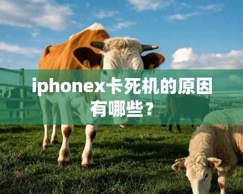 iphonex卡死机的原因有哪些？