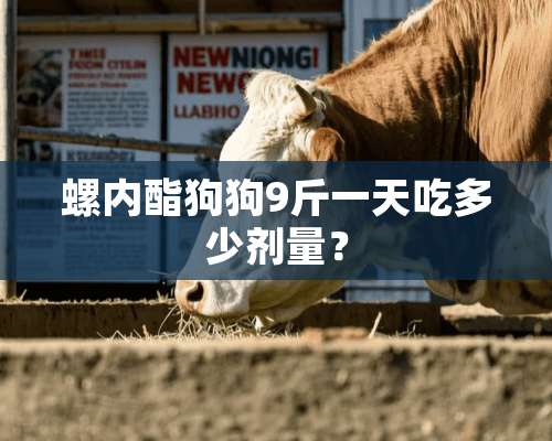 螺内酯狗狗9斤一天吃多少剂量？