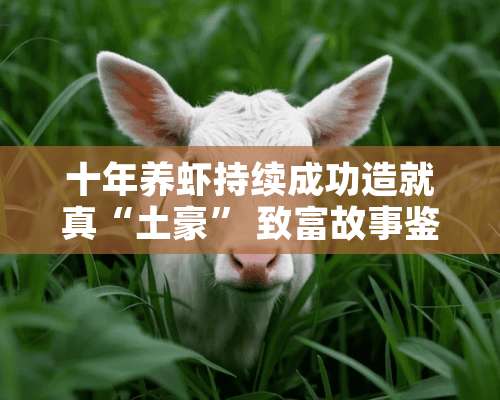 十年养虾持续成功造就真“土豪” 致富故事鉴证金牌品质！