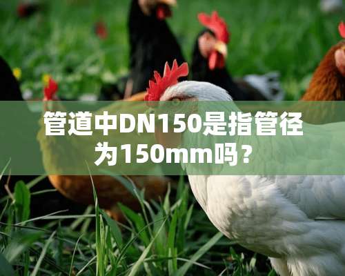 管道中DN150是指管径为150mm吗？