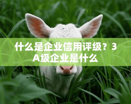 什么是企业信用评级？3A级企业是什么