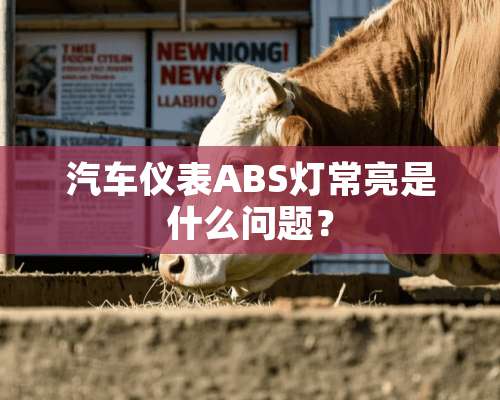 汽车仪表ABS灯常亮是什么问题？