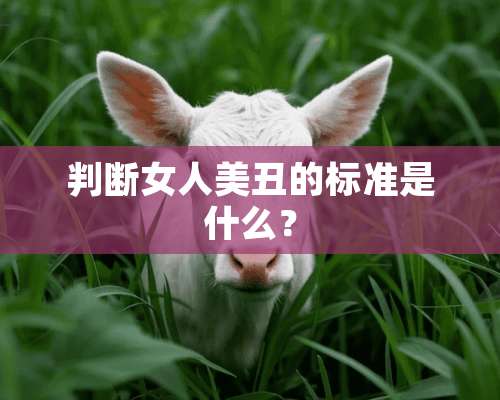 判断女人美丑的标准是什么？