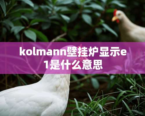 kolmann壁挂炉显示e1是什么意思