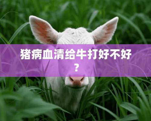 猪病血清给牛打好不好？