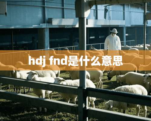 hdj fnd是什么意思